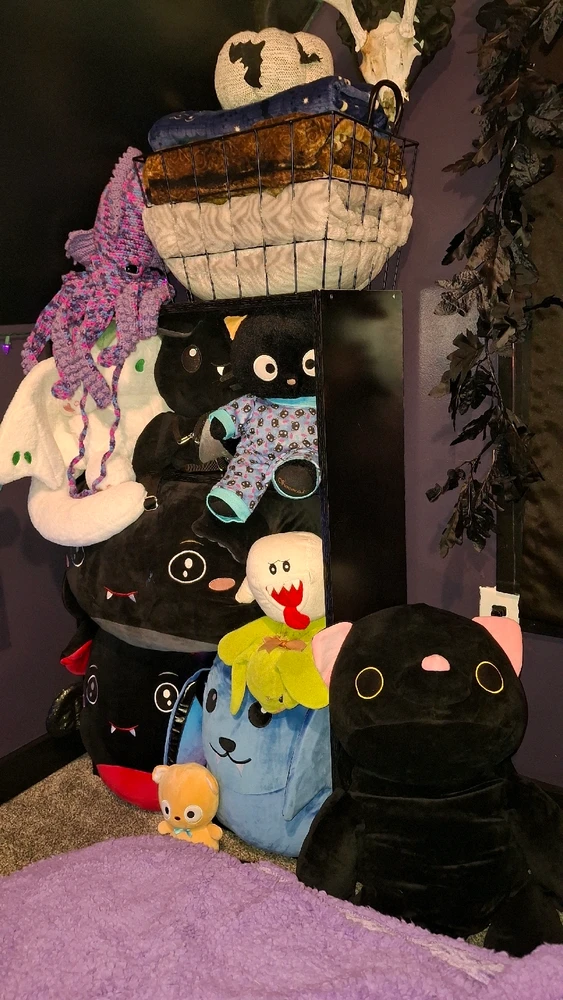 Image uploaded by Cera