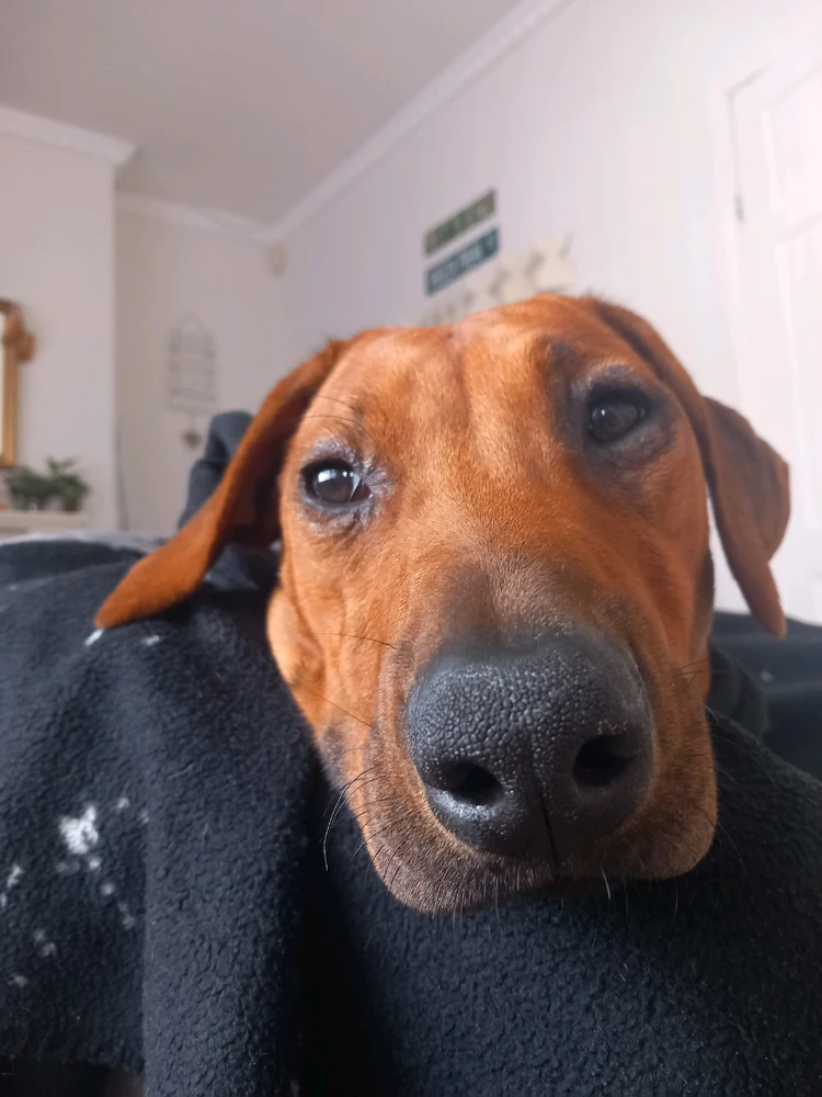 GIF uploaded by Ethan