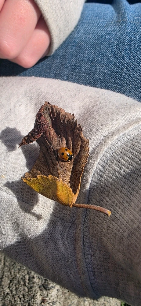 GIF uploaded by Amanda