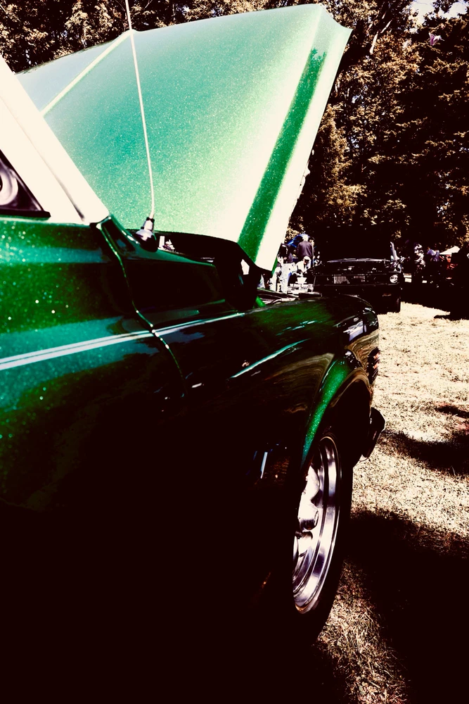 Image uploaded by SammyGz