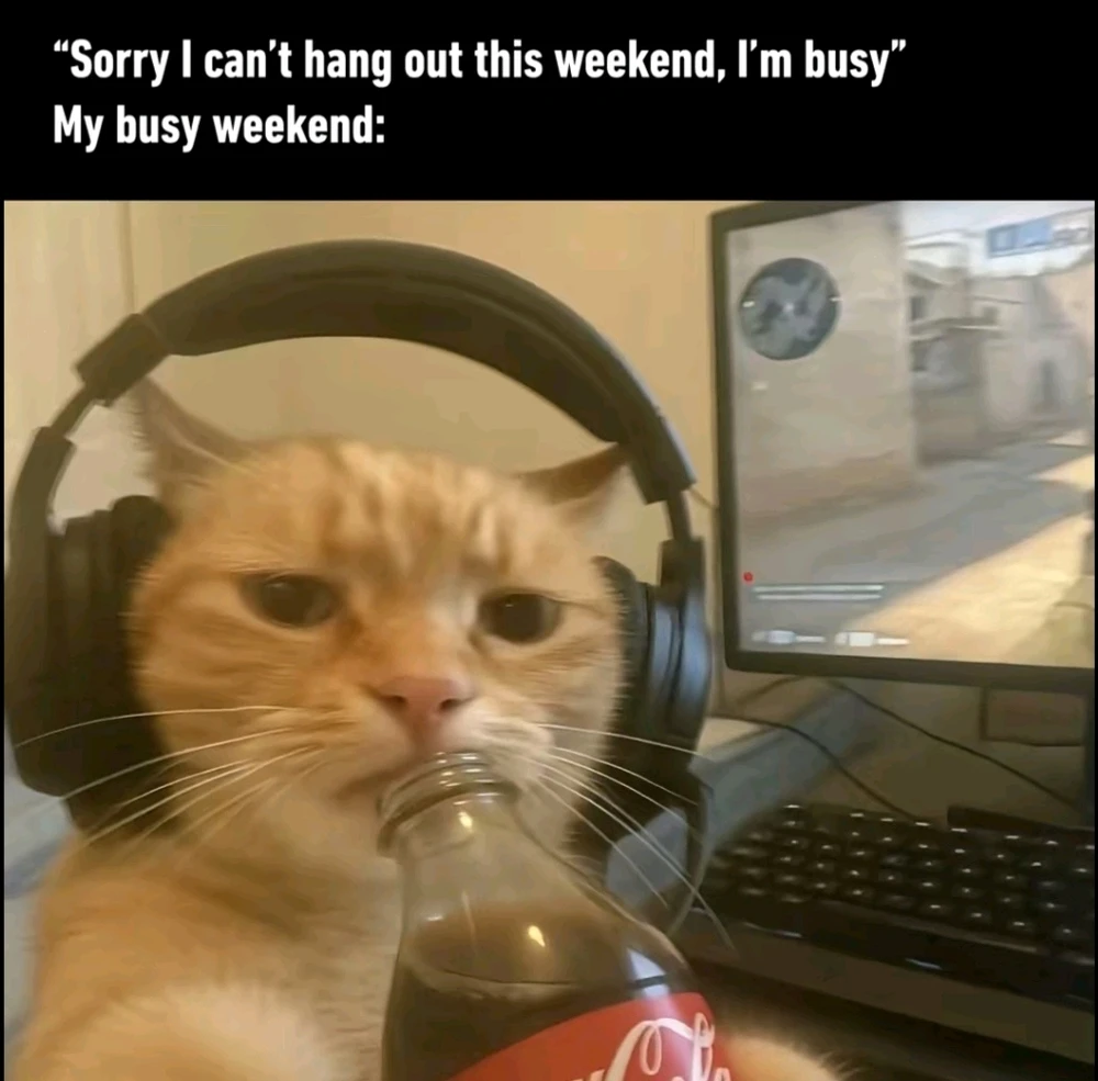 GIF uploaded by Eren