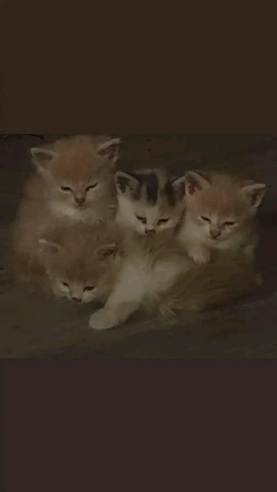 GIF uploaded by David