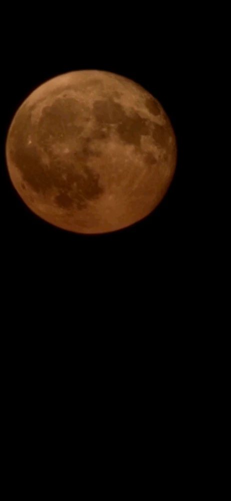 Image uploaded by Derick