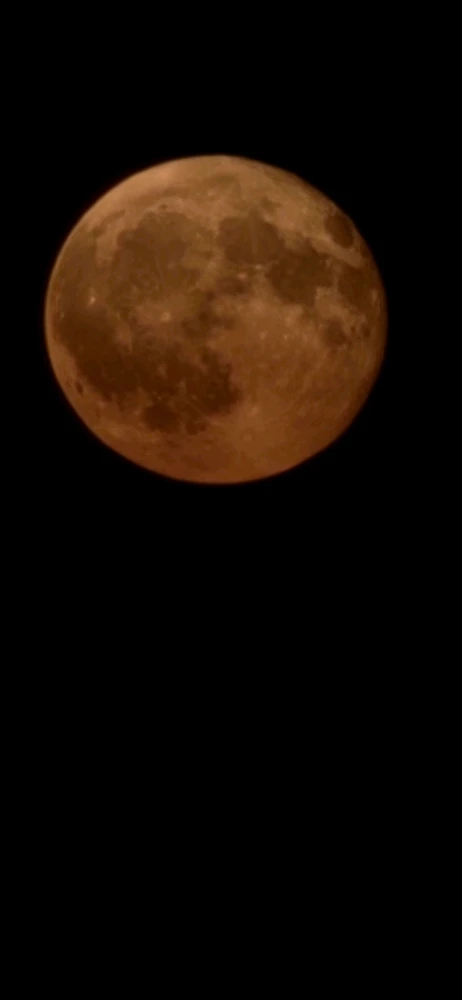 Image uploaded by Derick