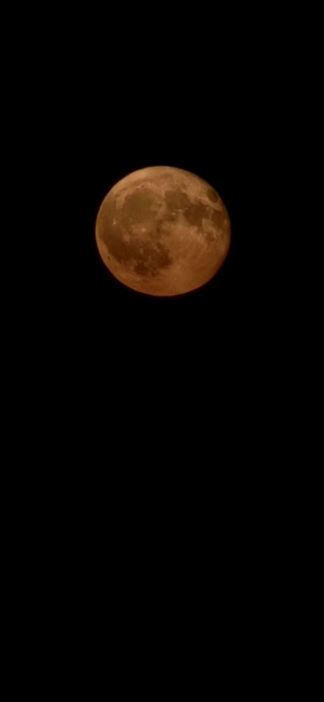 Image uploaded by Derick