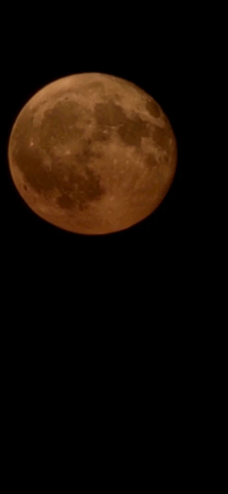 Image uploaded by Derick