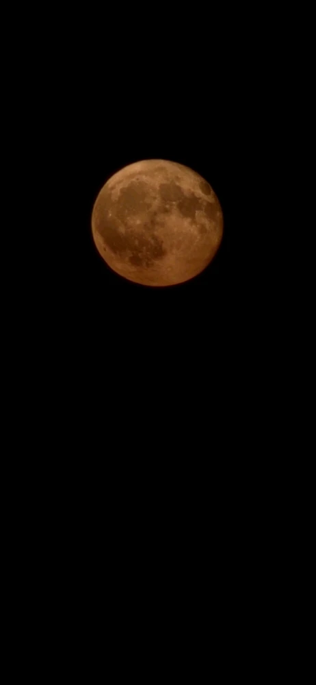 Image uploaded by Derick