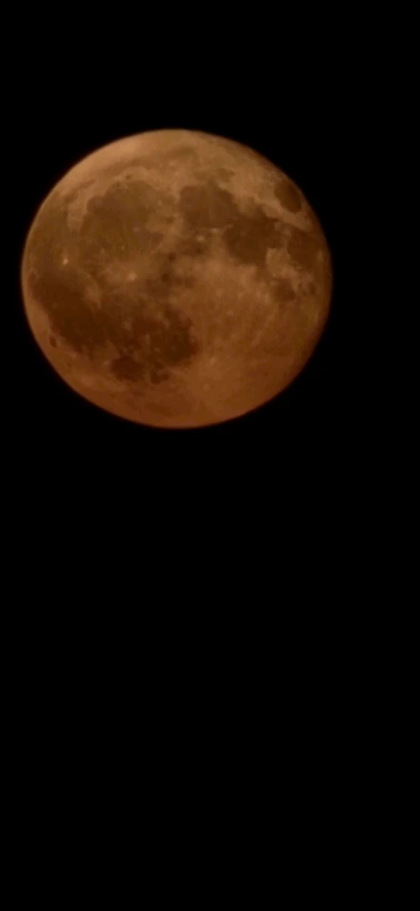 Image uploaded by Derick