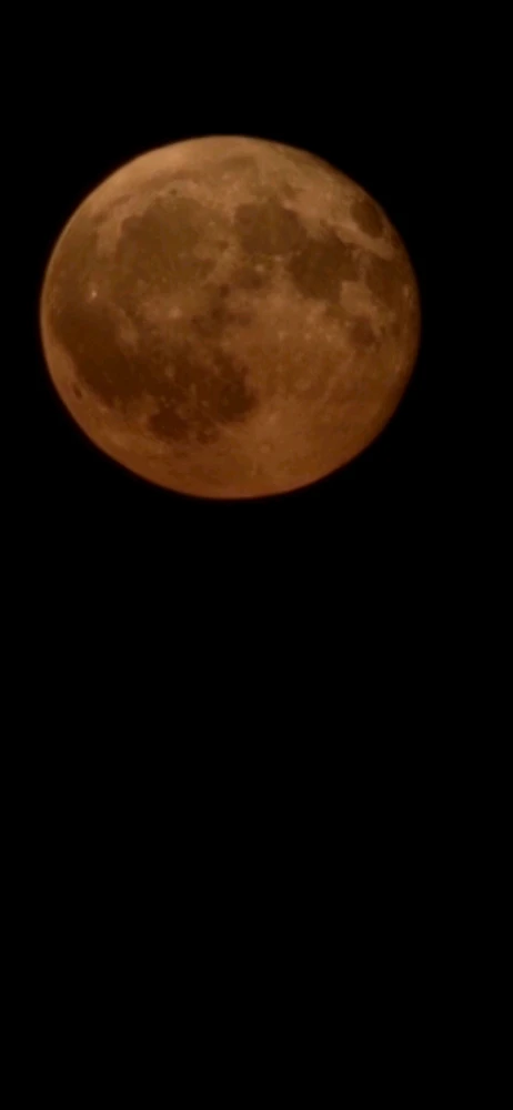 Image uploaded by Derick