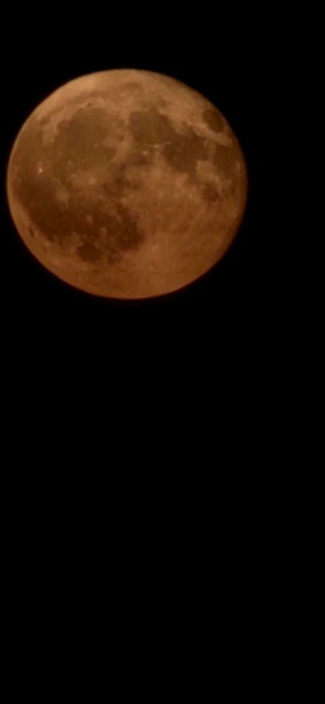 Image uploaded by Derick