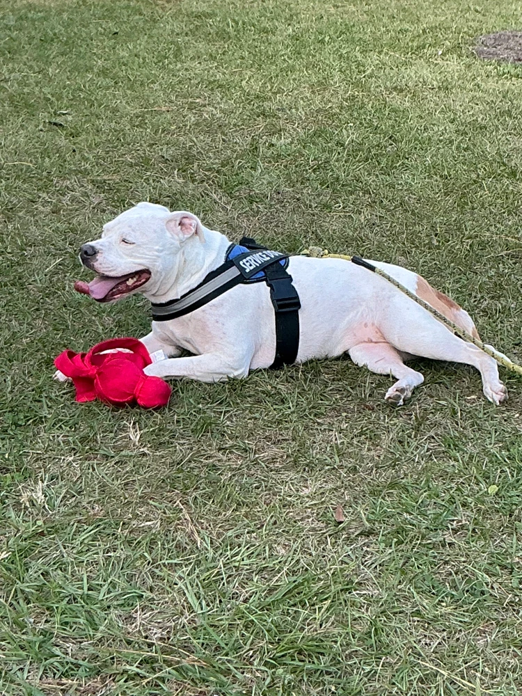 Image uploaded by Charlie Bonnett