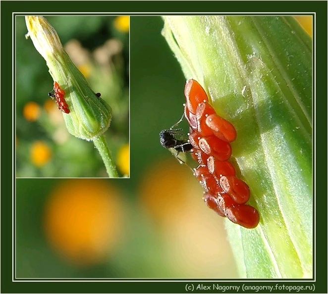 GIF diunggah dening Alex