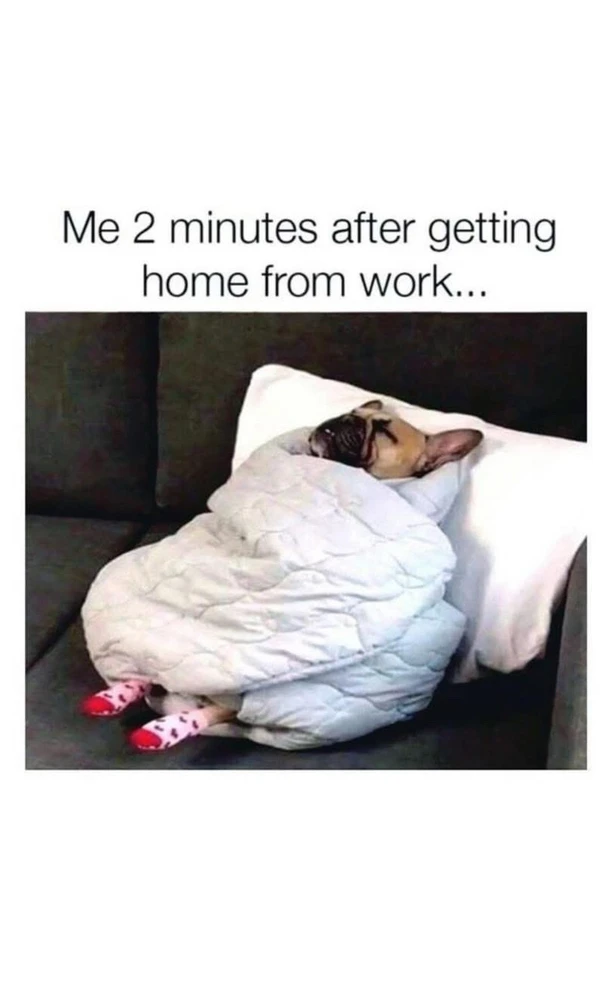 GIF uploaded by Allison