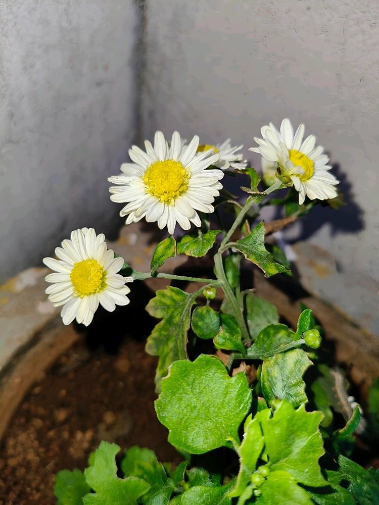 GIF uploaded by Karan