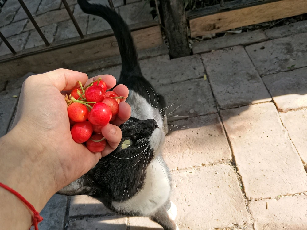 Imagen subida por Hector