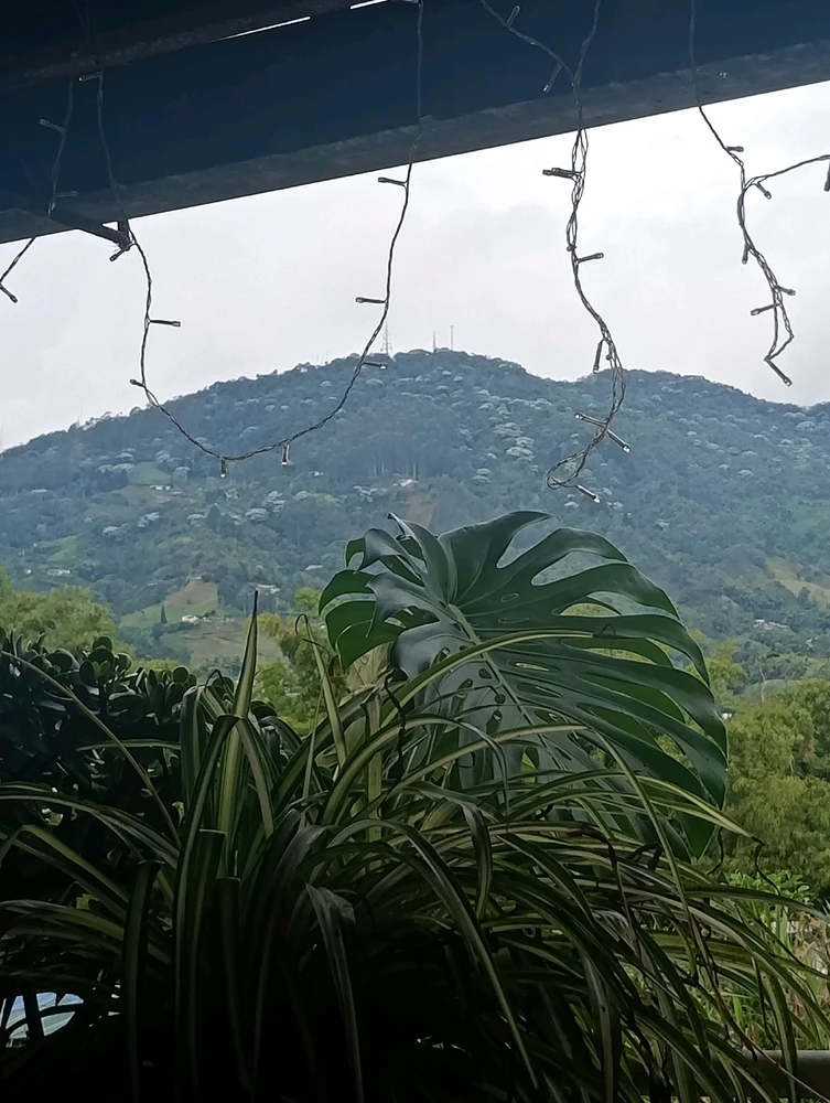 GIF subido por Alejandra Ríos