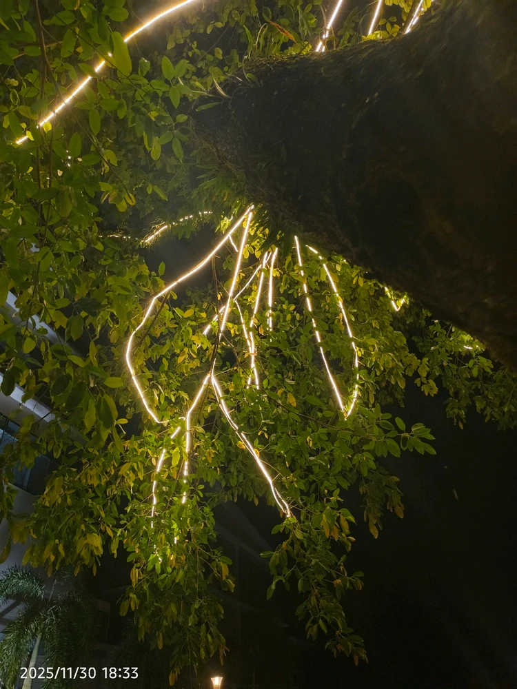 Image uploaded by Ger Tuaz