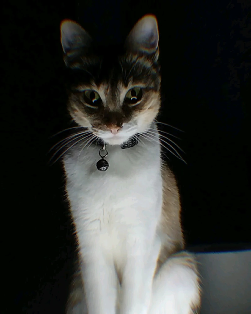 Image uploaded by Fer