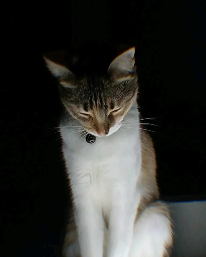 Image uploaded by Fer