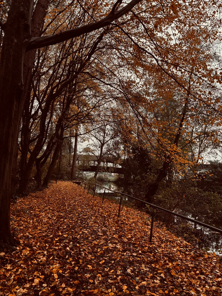 GIF hochgeladen von PixelViking