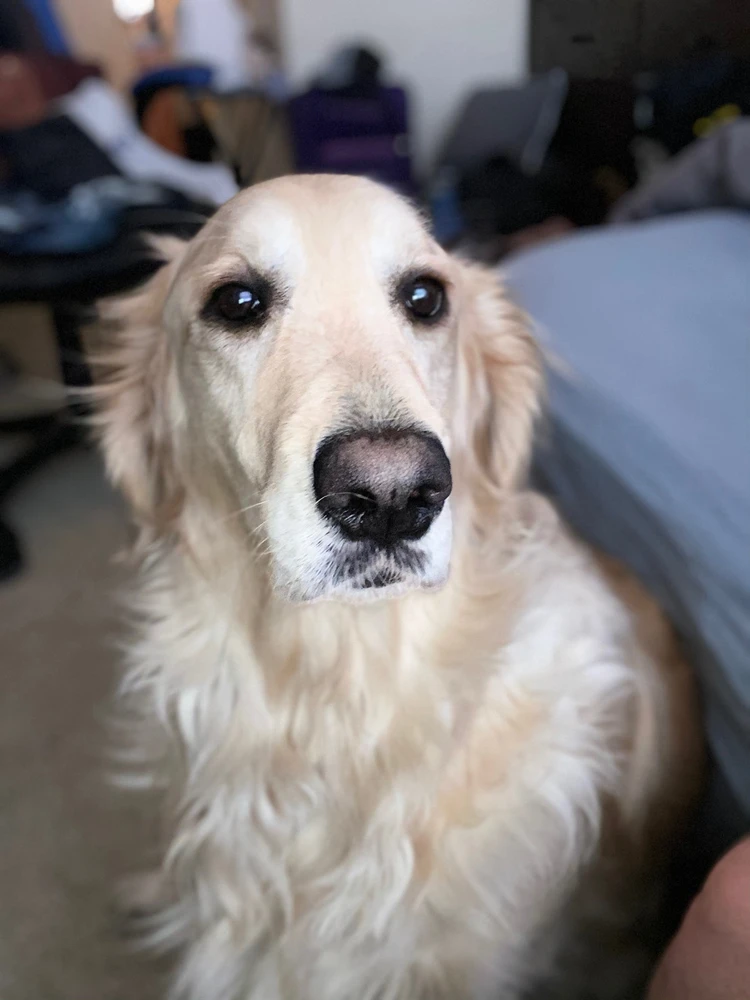 GIF uploaded by Matt