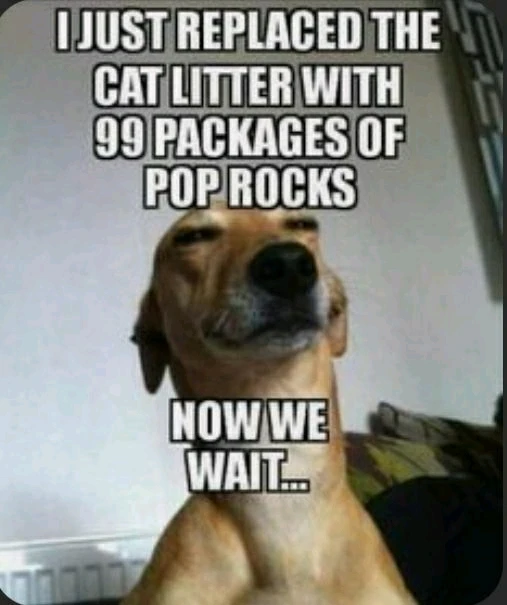 GIF uploaded by Rowe