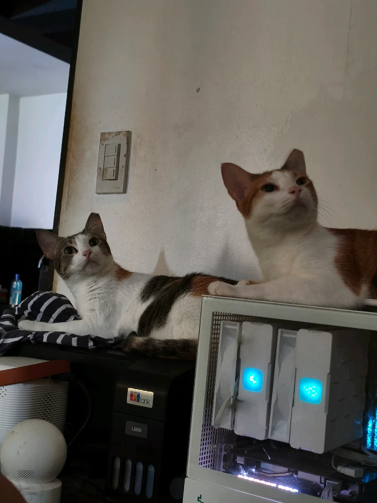 GIF uploaded by Zaki