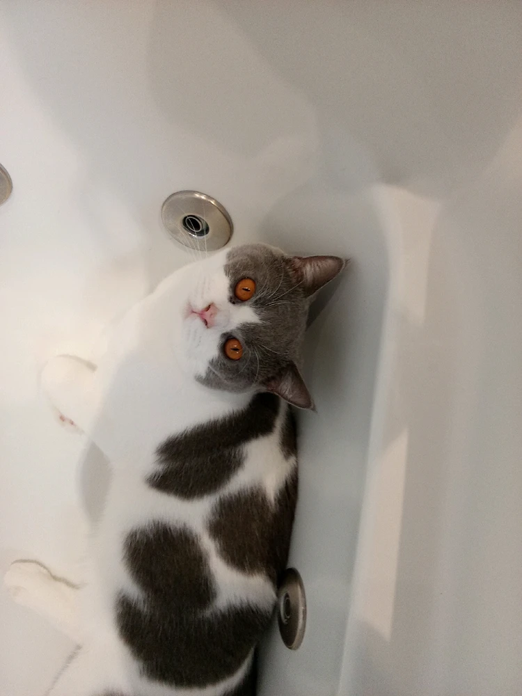 GIF uploaded by Ashley