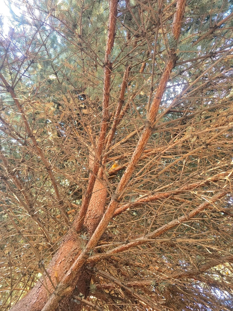 Image uploaded by William