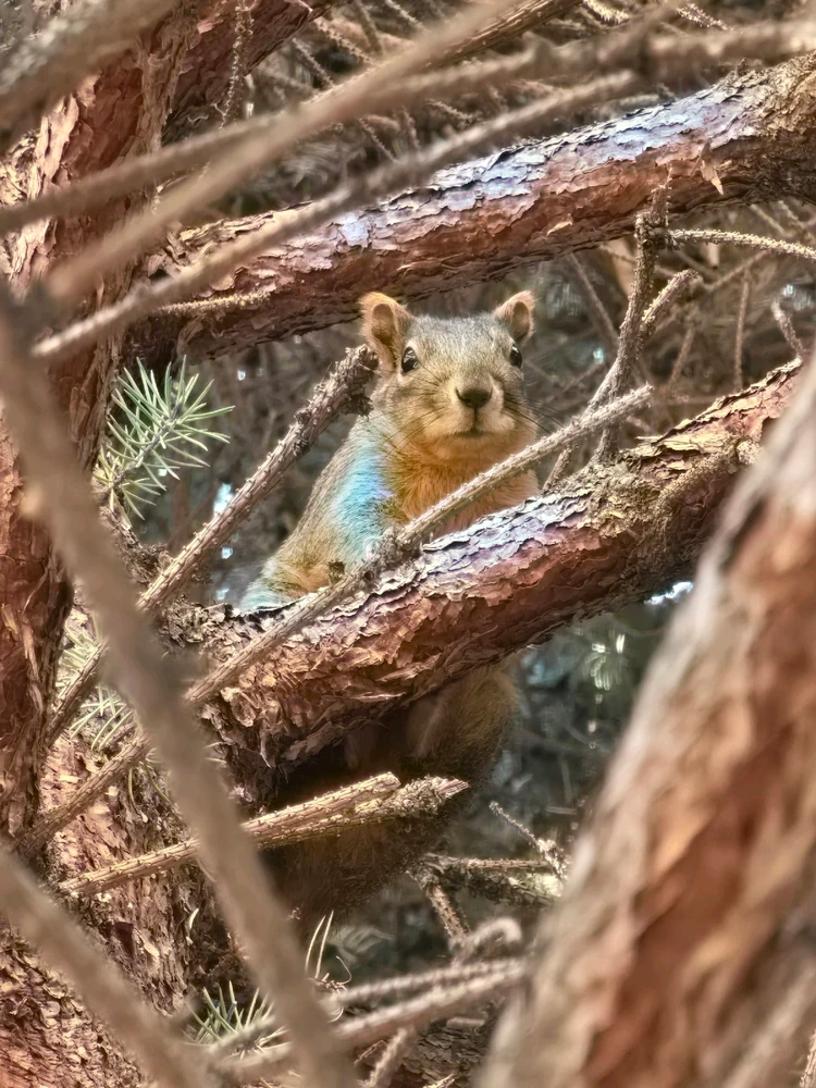 Image uploaded by William