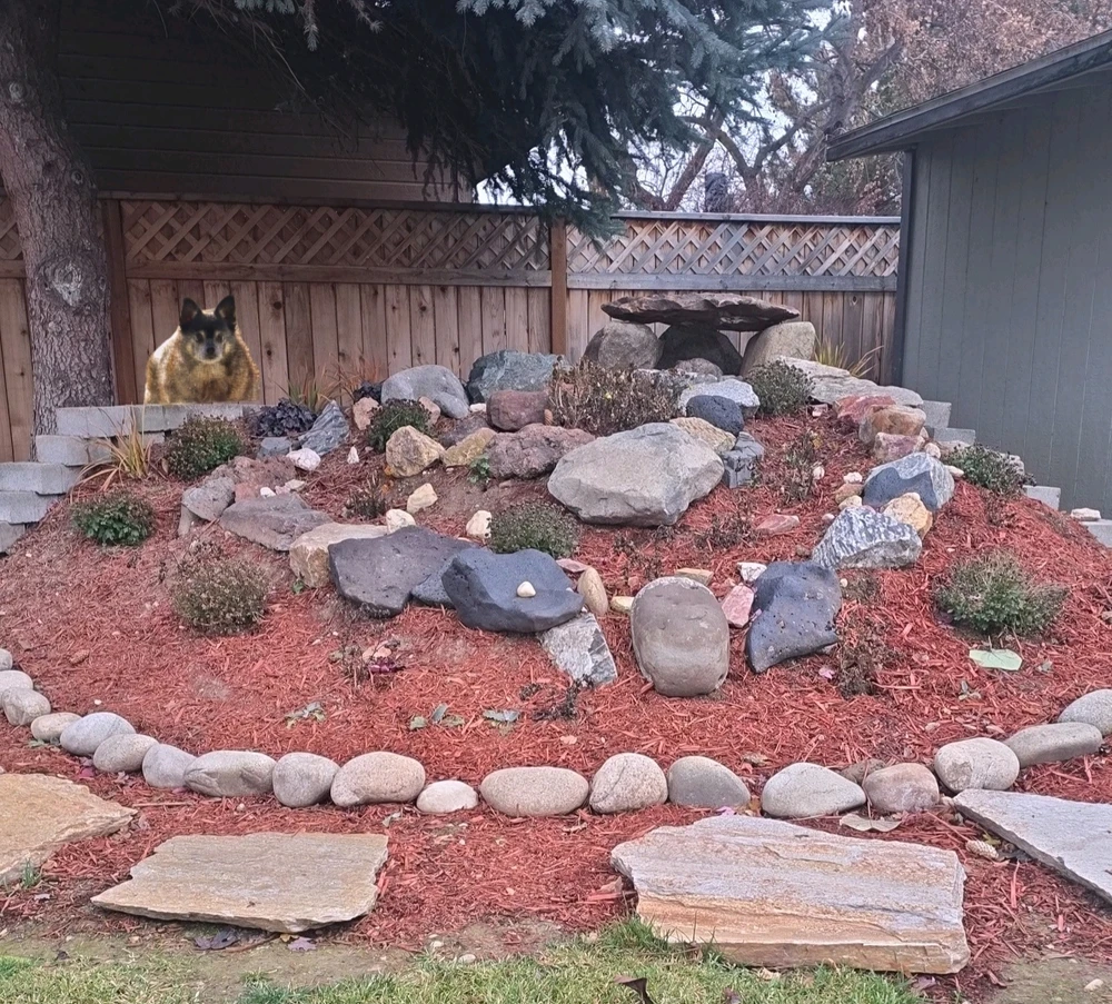 GIF uploaded by William