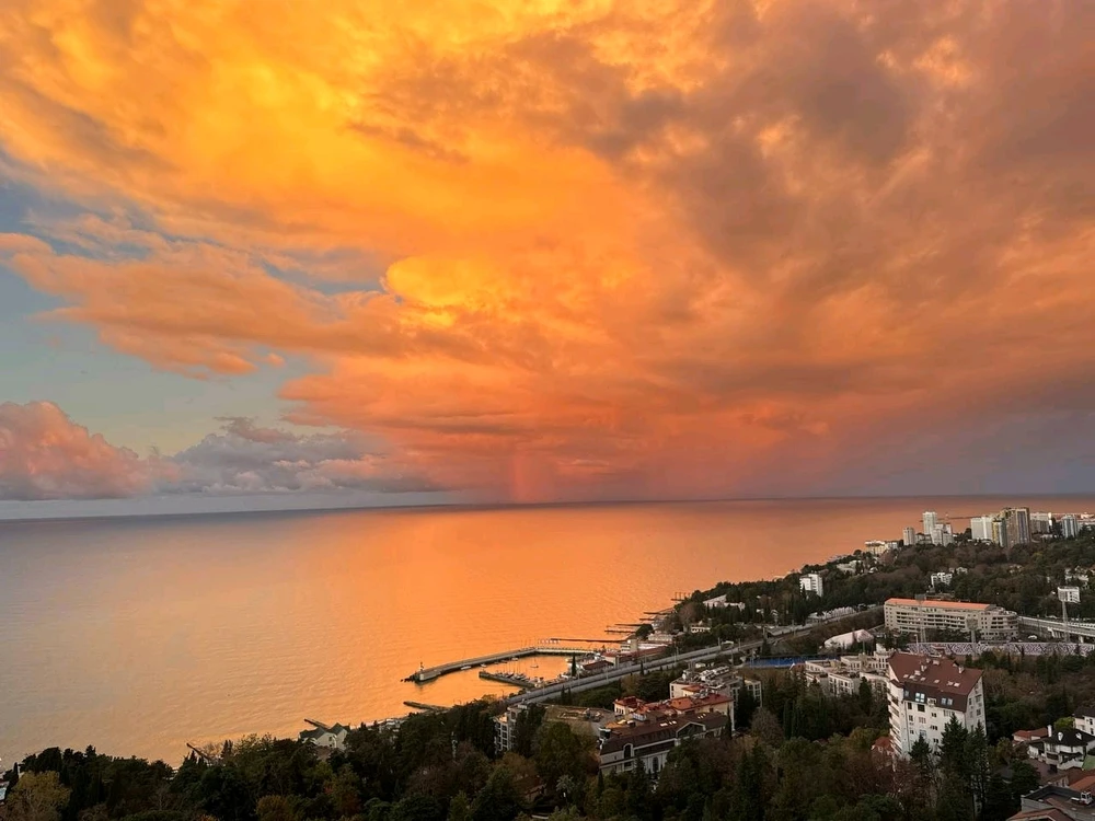 Image uploaded by Marissa