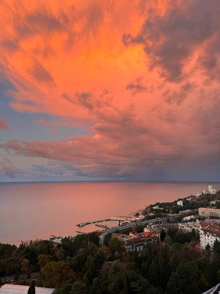 Image uploaded by Marissa