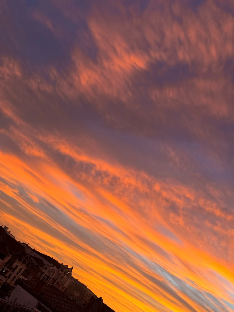 GIF ajouté par Pelico