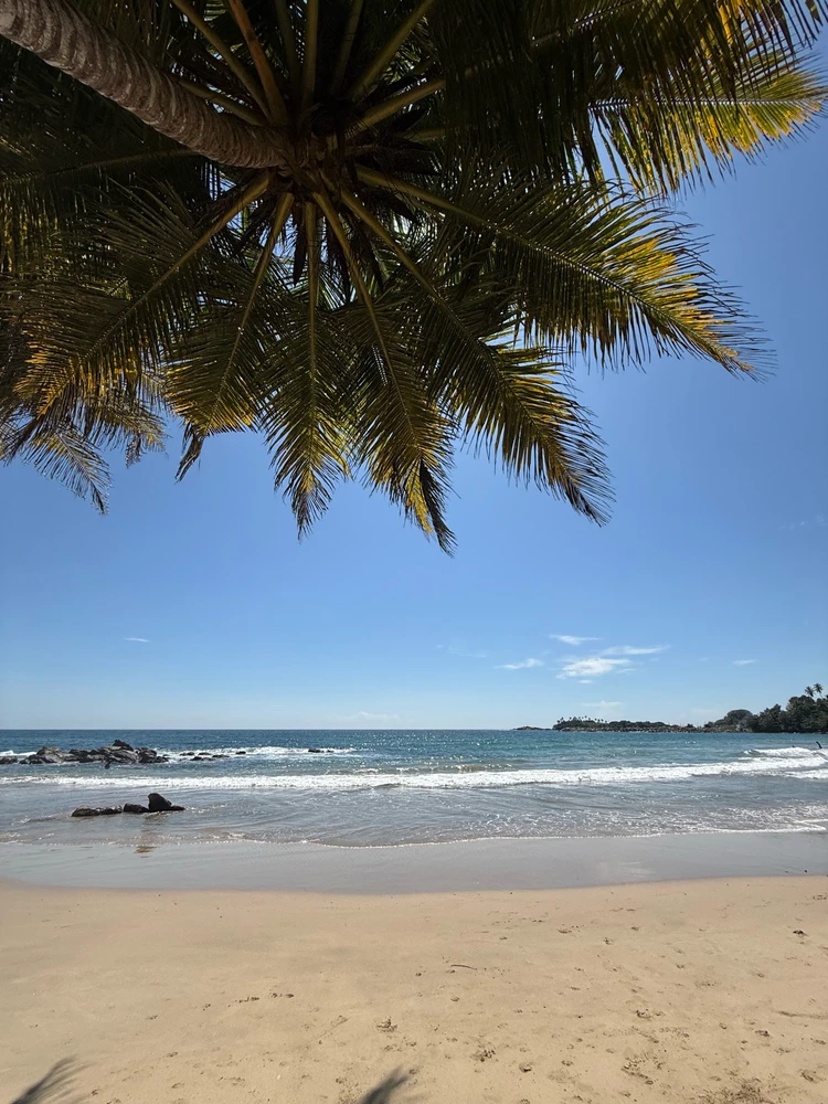 GIF uploaded by Kush