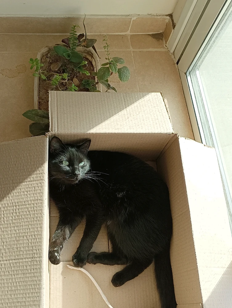 Imagen subida por Dylan