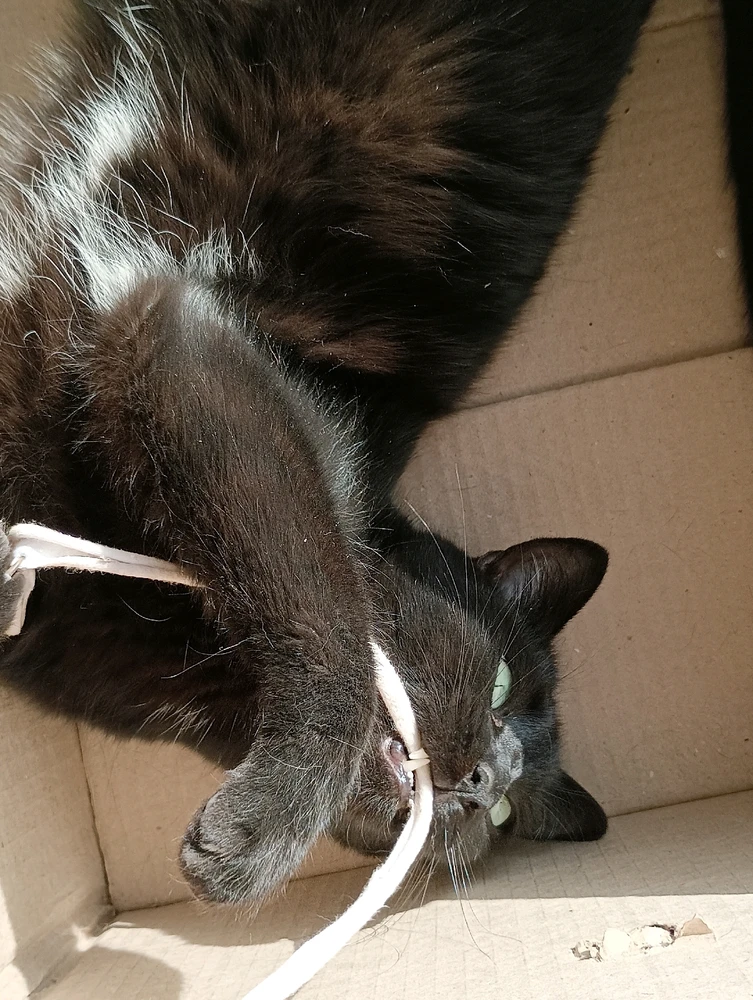 Imagen subida por Dylan