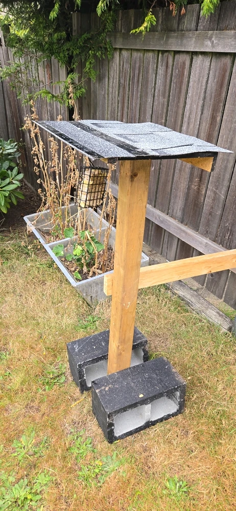 Image uploaded by Daniel