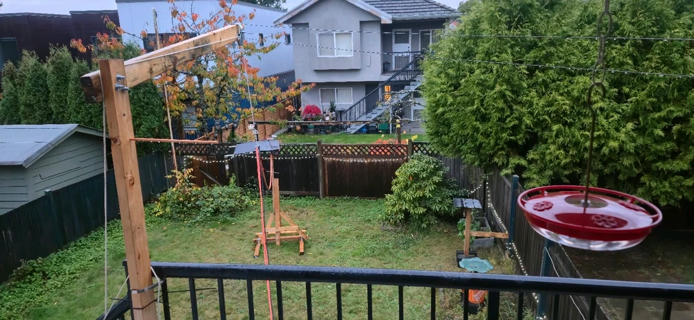 Image uploaded by Daniel