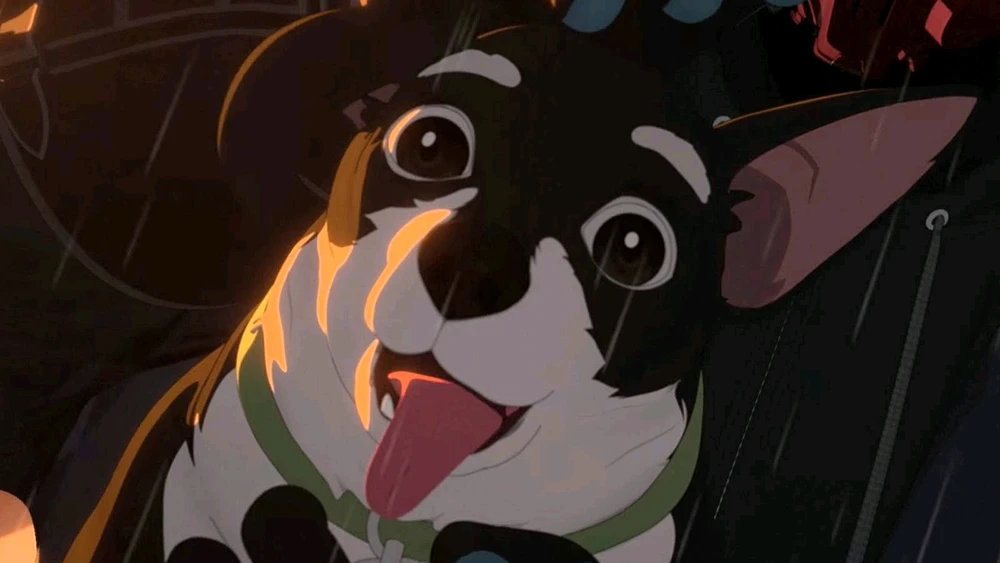 GIF uploaded by Brandon Bankert