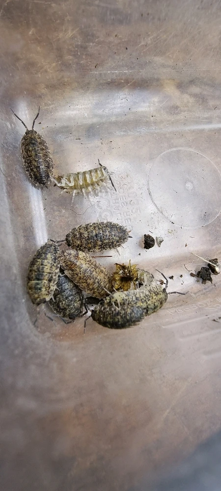 Image uploaded by J-Klamp😜🐒