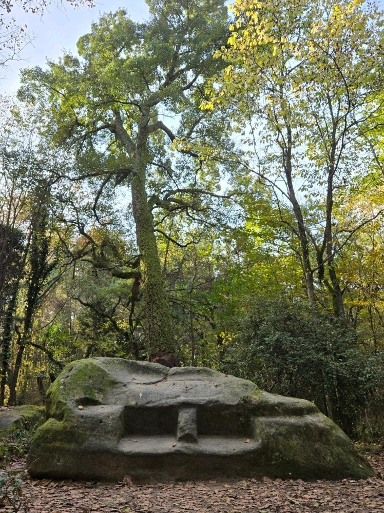 Image uploaded by Marissa