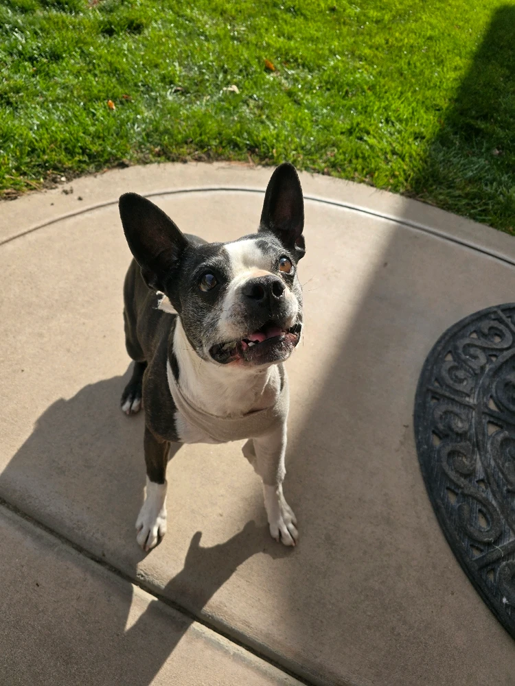 Image uploaded by William