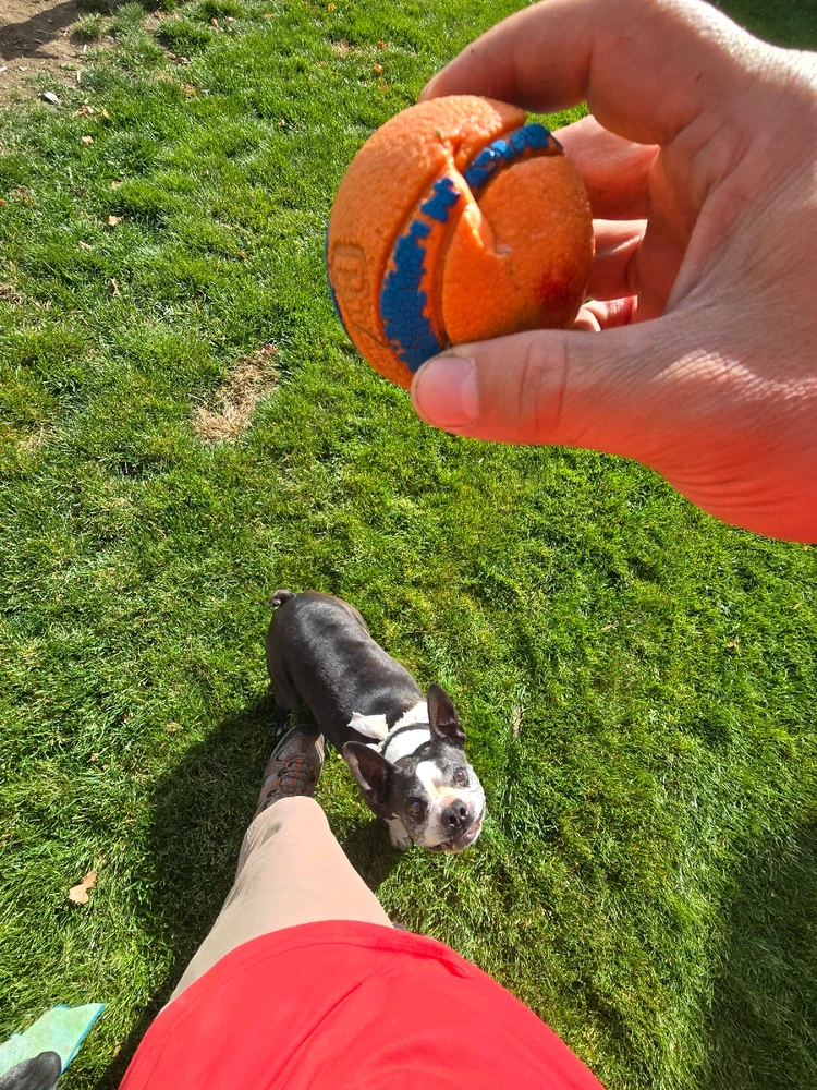 Image uploaded by William