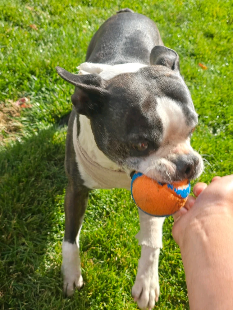 Image uploaded by William