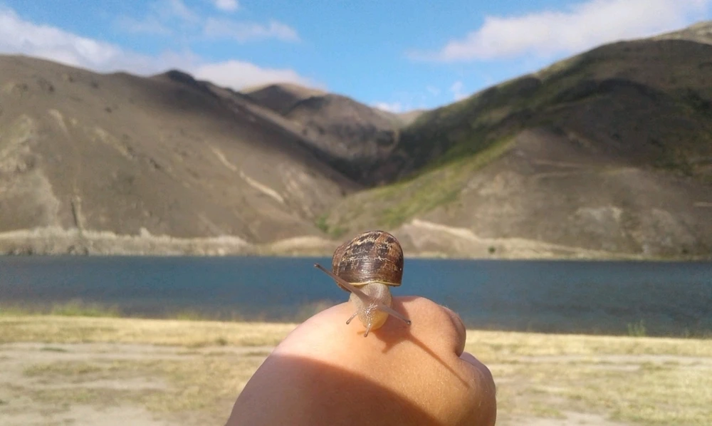 Image uploaded by Karina