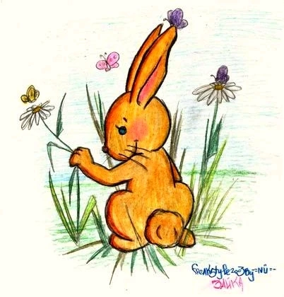 Image uploaded by Piptipay