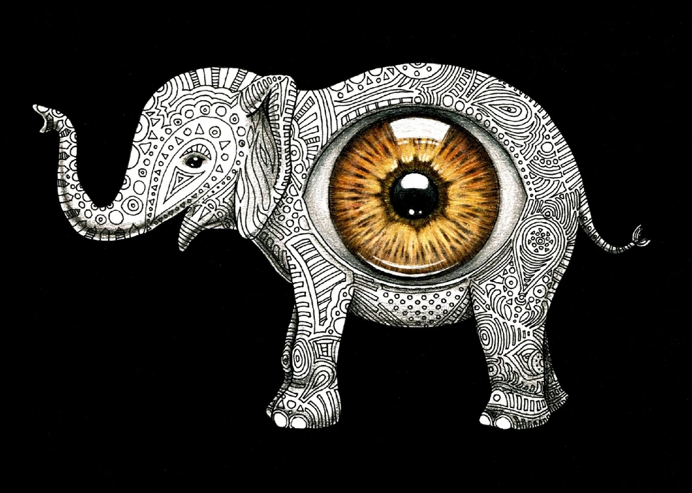 Image uploaded by Piptipay