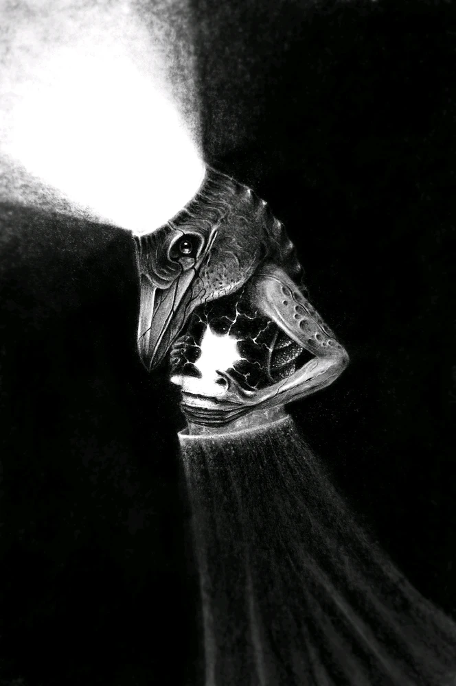 Image uploaded by Piptipay