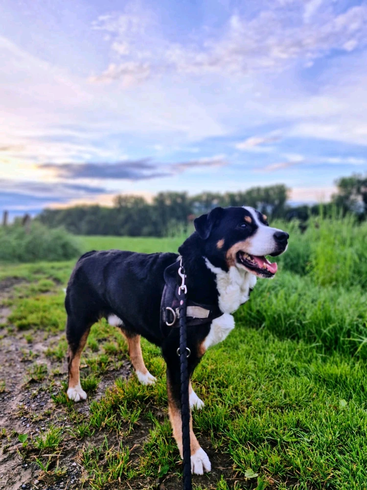Bild hochgeladen von Lorenzo von Matterhorn